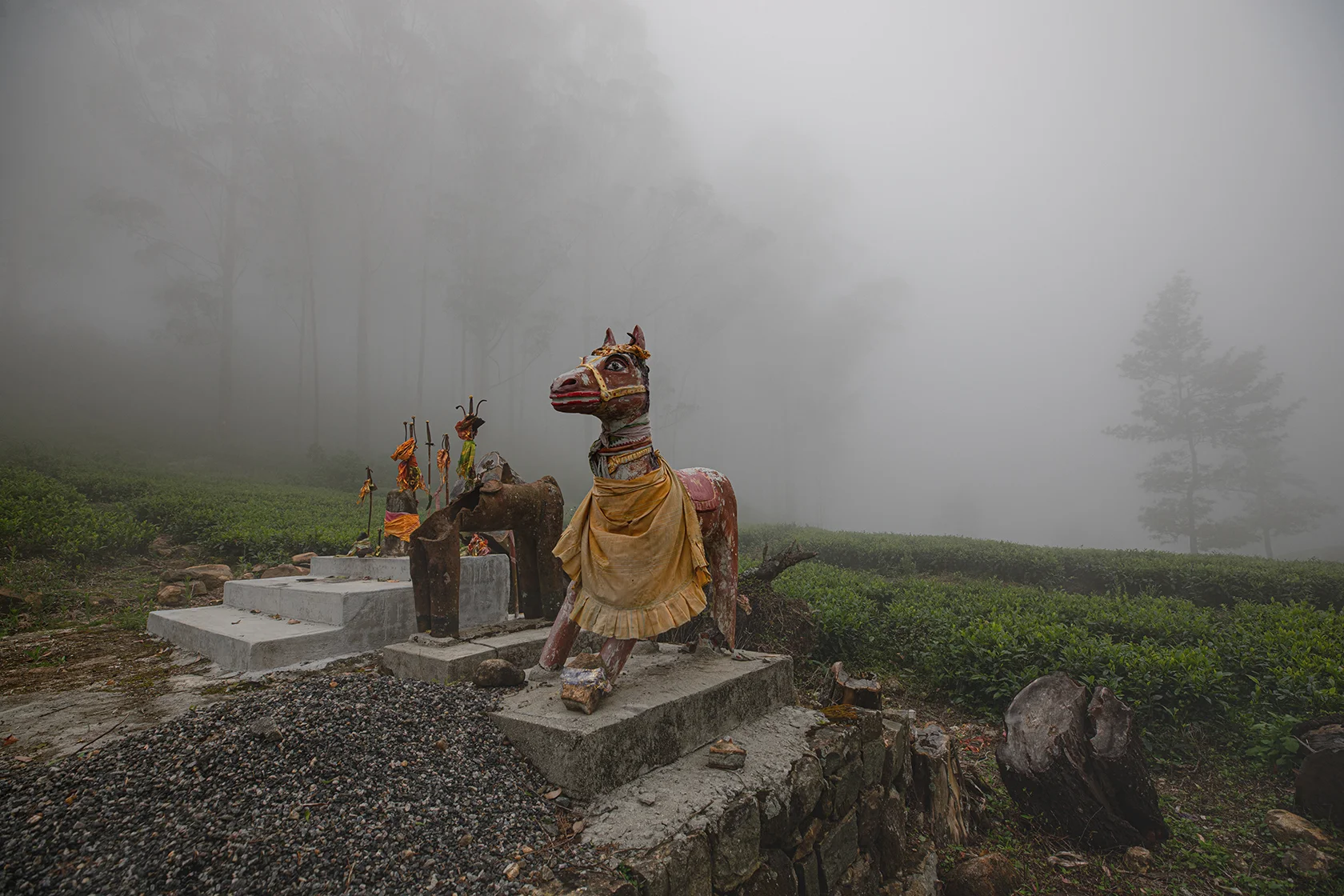 Central highlands tour